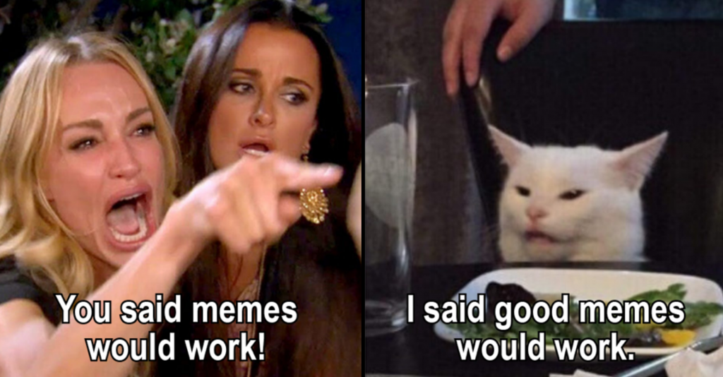 woman yelling at cat meme only good memes work